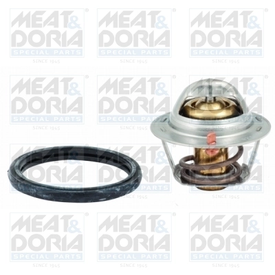 Thermostat, coolant